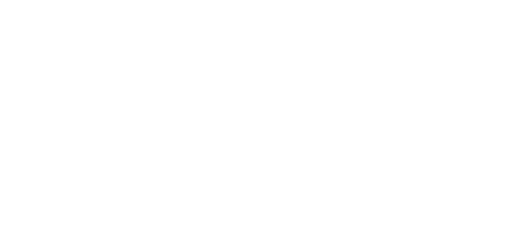 Логотип Вистмастер